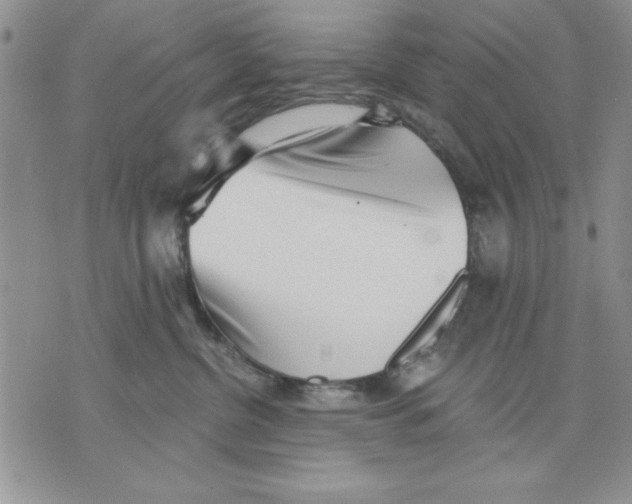 X0000070240380200606301607