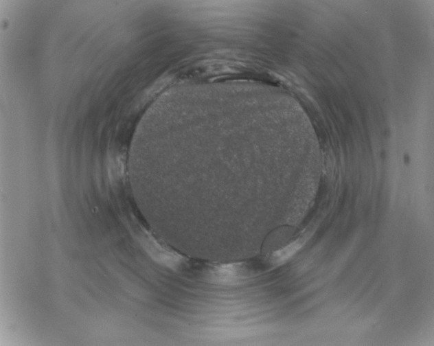 X0000070240382200606301607