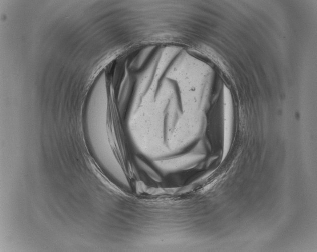X0000070240389200606301606