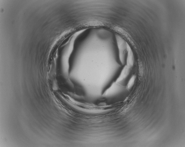 X0000070240395200606301606
