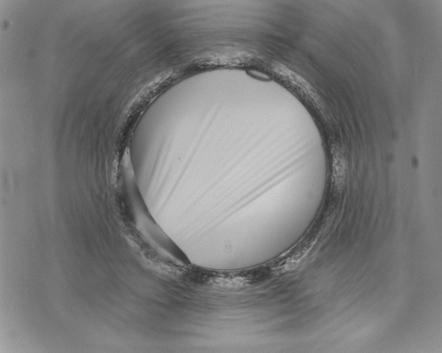X0000070240403200606301606