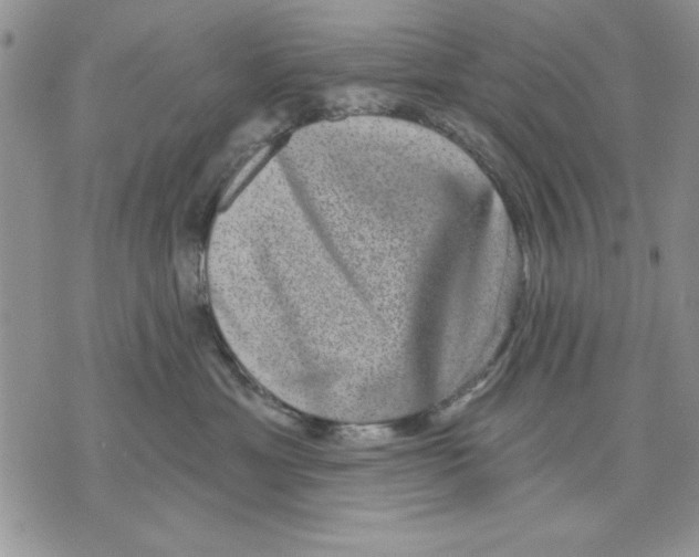 X0000070240429200606301605