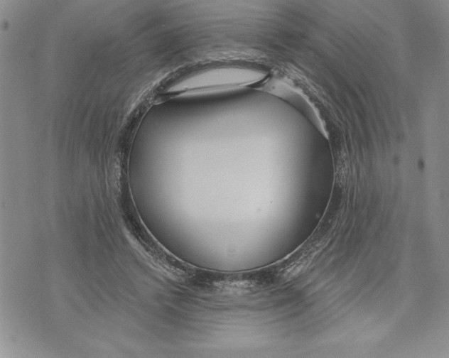 X0000070240448200606301605