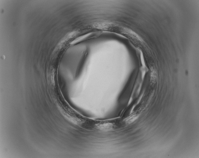 X0000070240452200606301605