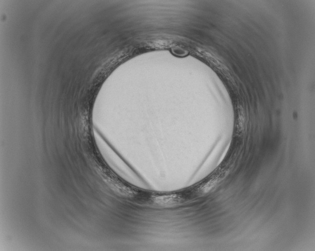 X0000070240461200606301605