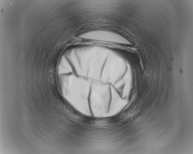 X0000070240462200606301605