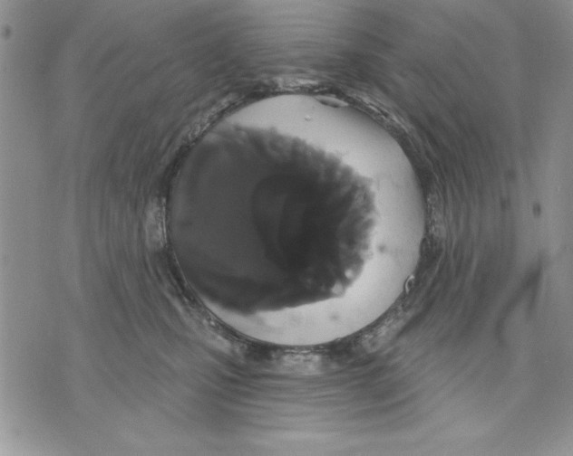 X0000070240471200606301605