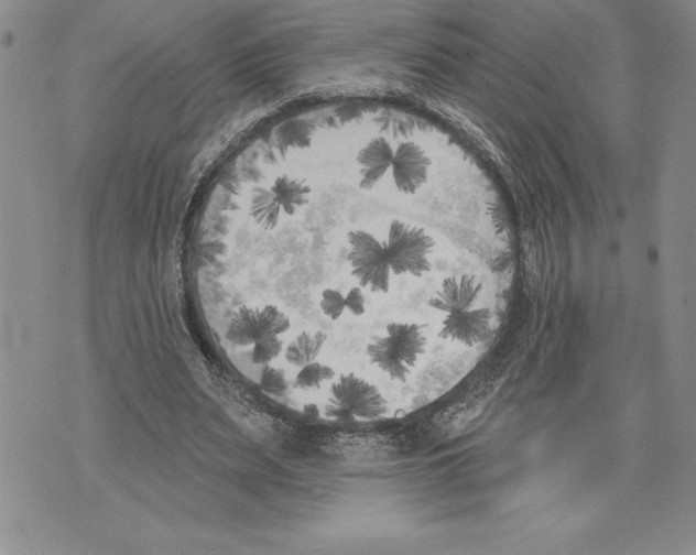 X0000070240487200606301604