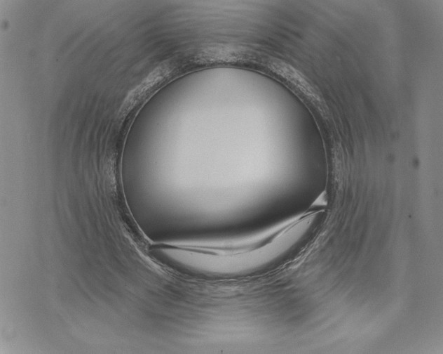 X0000070240489200606301604