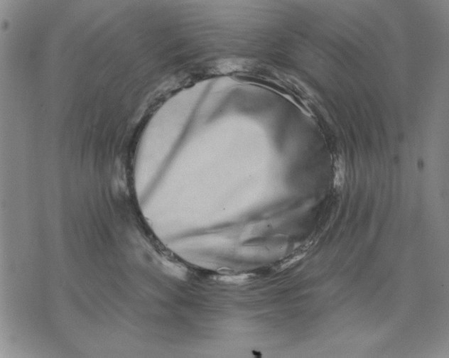 X0000070240524200606301604