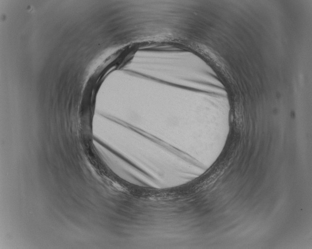 X0000070240532200606301603