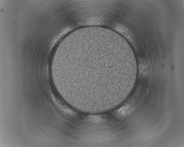 X0000070240534200606301603