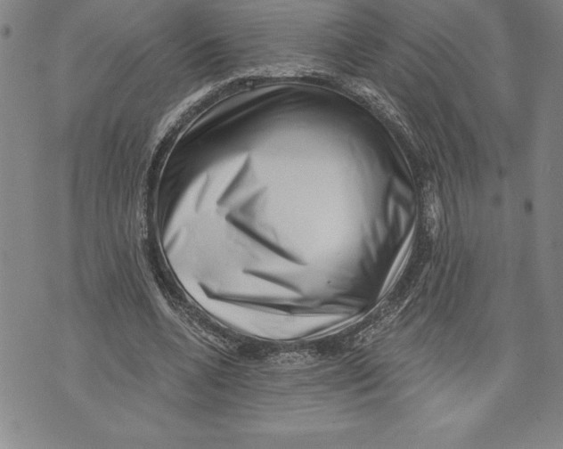 X0000070240536200606301603