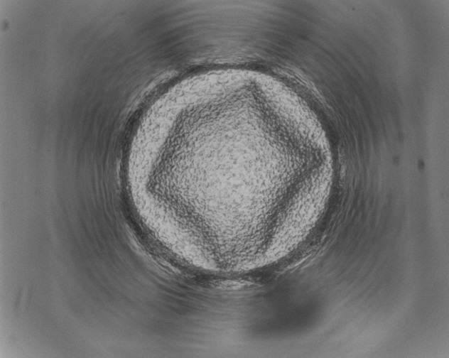 X0000070240542200606301603