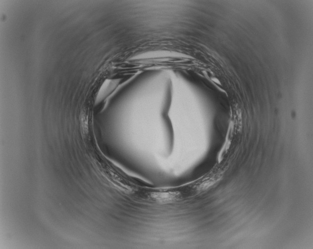 X0000070240558200606301603