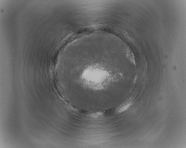 X0000070240576200606301604