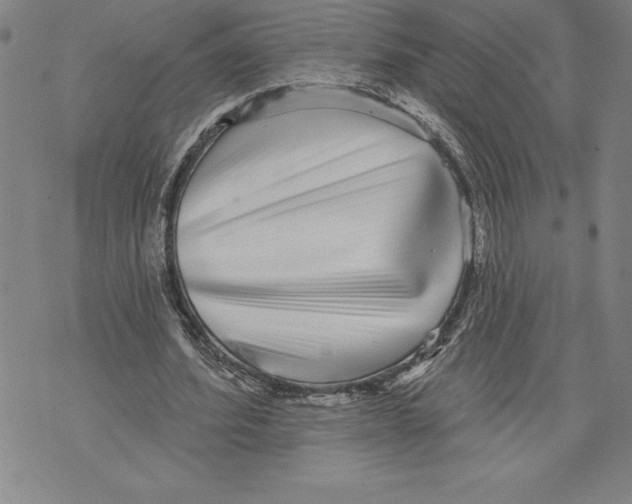 X0000070240580200606301603
