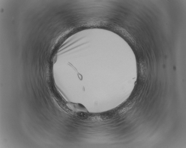 X0000070240588200606301603