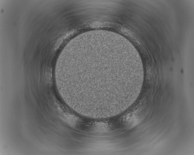 X0000070240592200606301603