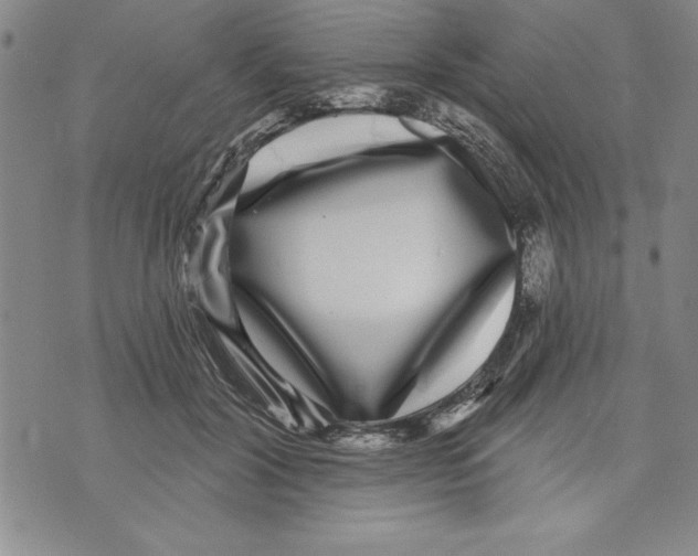 X0000070240604200606301603