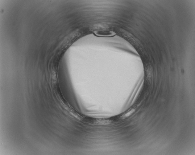 X0000070240617200606301602