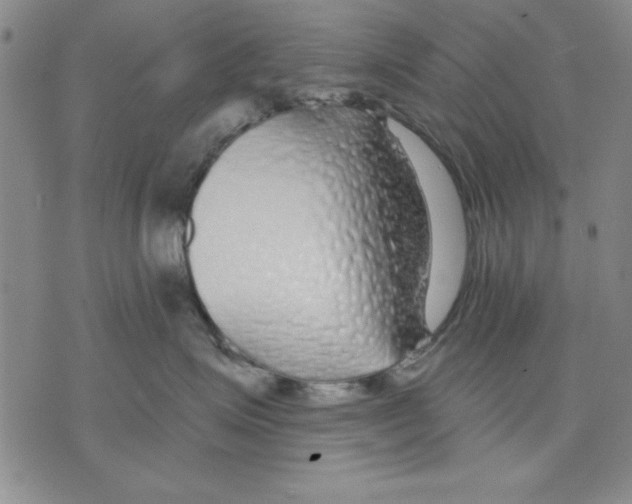 X0000070240623200606301602
