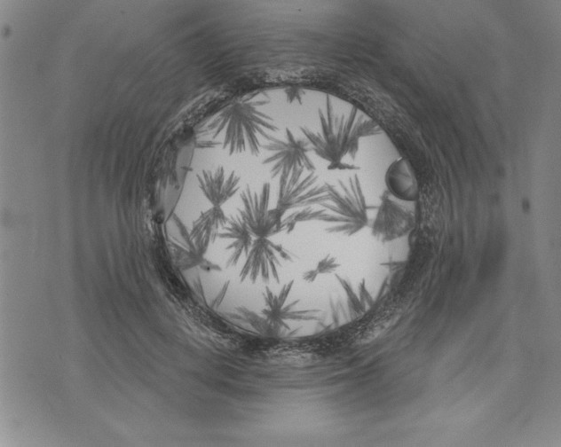 X0000070240648200606301602