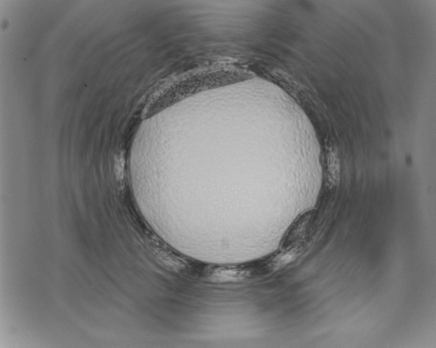 X0000070240657200606301602