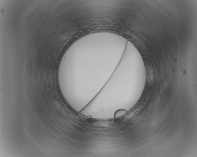 X0000070240661200606301602