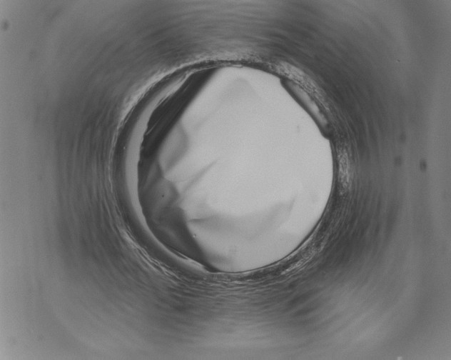 X0000070240676200606301601