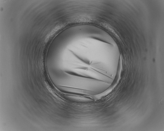 X0000070240677200606301601