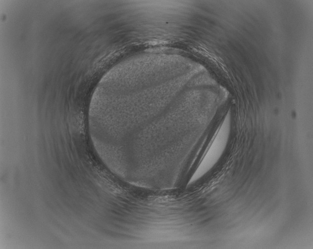 X0000070240689200606301601