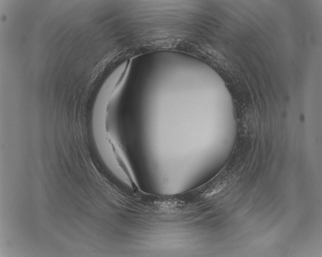 X0000070240693200606301601