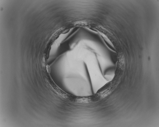 X0000070240708200606301601