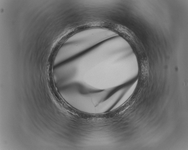 X0000070240730200606301600