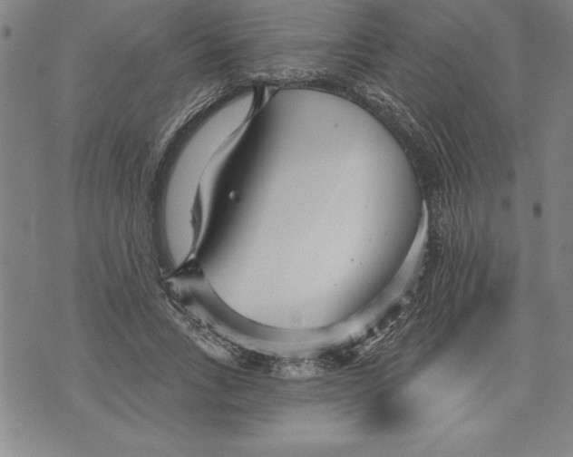 X0000070240735200606301600