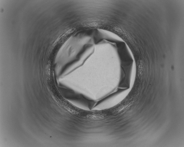 X0000070240739200606301600