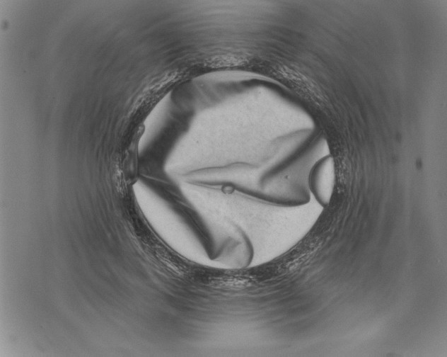 X0000070240743200606301600