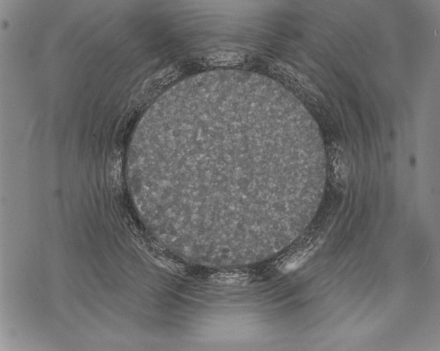 X0000070240745200606301600