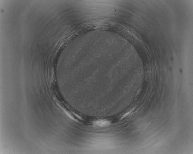 X0000070240748200606301600