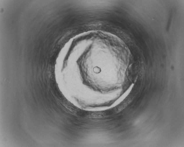 X0000070240758200606301600