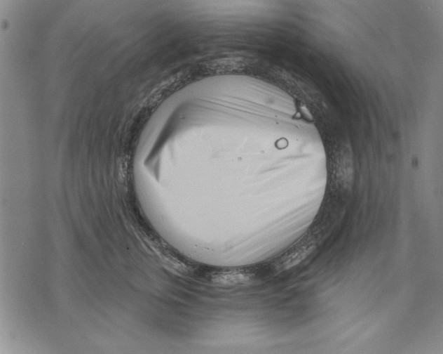 X0000070240759200606301600