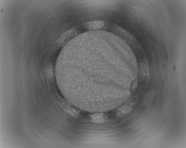 X0000070240761200606301601