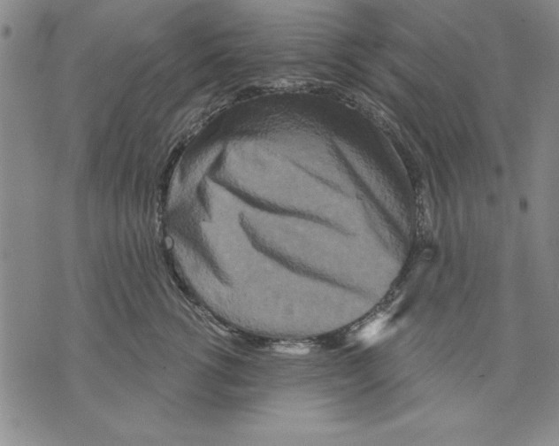 X0000070240762200606301601