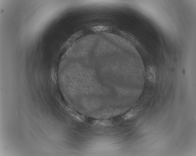 X0000070240763200606301601