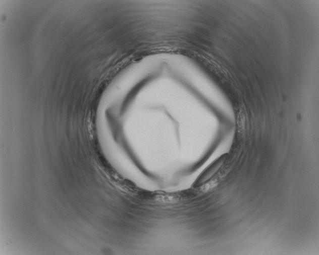 X0000070240764200606301601