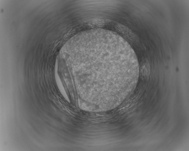 X0000070240772200606301600