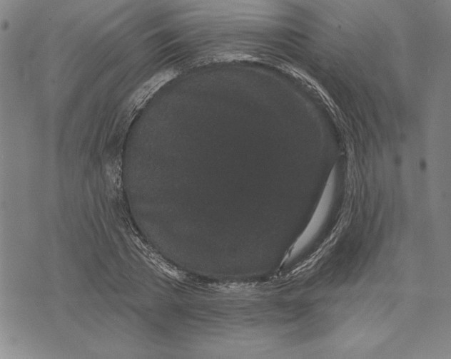 X0000070240785200606301600