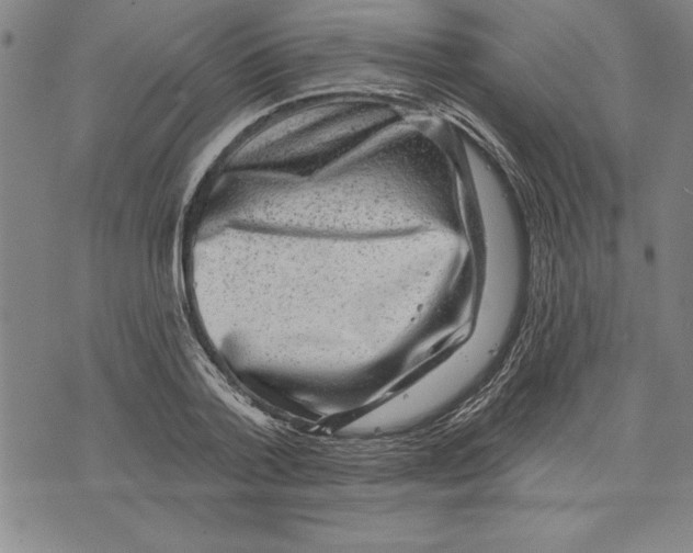 X0000070240788200606301600