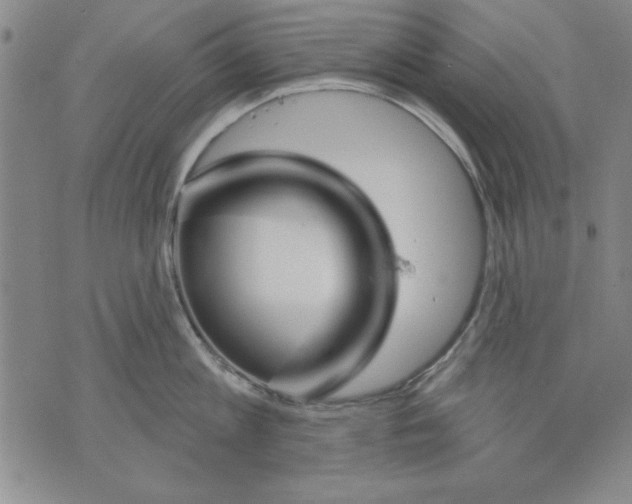 X0000070240813200606301559
